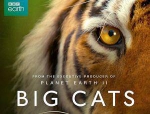 BBC纪录片《大猫/Big Cats》三部合集高清英语中字[MP4/3.28GB]百度云网盘下载