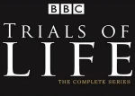 BBC纪录片《生命之源》全12集视频英语外挂中字[MKV/28.40GB]百度云网盘下载