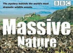 BBC纪录片《群体大自然》高清国语[RMVB/858.51MB]百度云网盘下载