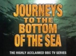 BBC纪录片《海底世界揭秘》高清英语外挂中字[AVI/3.41GB]百度云网盘下载