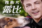 电影《义犬救主/搜救犬露比/Rescued by Ruby》93min(格兰特·古斯汀主演)高清1080P/原声/内嵌官中/视频合集【百度云网盘下载】