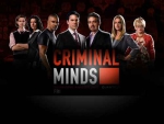 《犯罪心理/Criminal minds》美剧合集1-15季322集高清英语中字