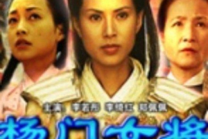 2004  中国 香港  杨门女将4：再战金沙滩杨门女将之再战金沙滩  国语无字  MKV  3.90GB  百度云