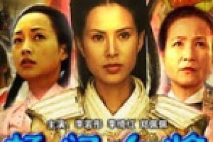 2004  中国 香港  杨门女将9：皇城惊变杨门女将之皇城惊变  国语无字  MKV  3.94GB  百度云