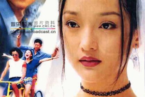 2008中国梨树花开MKV600MB百度云