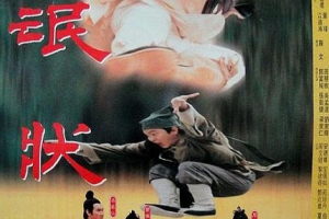 1993香港伦文叙老点柳先开_The Kung-Fu Scholar国语繁中 RMVB782MB百度网盘