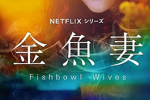 Netflix日剧《金鱼妻》全集高清未删减1080P日语中字百度云网盘下载