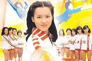 《排球女将1979》高清修复4K版全集百度云网盘下载