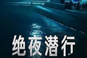 土耳其剧《绝夜潜行》第1季高清中字1080P百度云网盘下载[MP4/8.83GB]