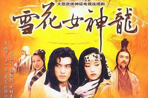 国产剧《雪花女神龙(2002)》高清全集阿里云网盘下载[MP4/29.89GB]