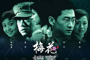 国产剧《梅花档案(2003)》经典高分老剧周杰/苏瑾高清全集阿里云网盘下载[MKV/24.04GB]