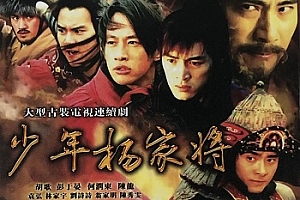 国产剧《少年杨家将(2007)》全43集1080P国语中字百度云网盘下载[MP4/39.11GB]