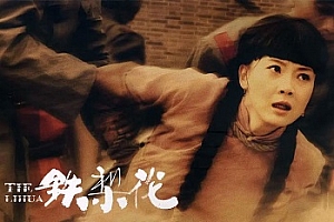 国产剧《铁梨花(2010)》高清1080P国语中字百度云网盘下载[MP4/82.80GB]