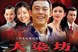 国产剧《大染坊(2003)》全24集高清4K国语中字百度云网盘下载[MP4/41.44GB]