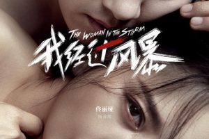 电影《我经过风暴/离开你》高清WEB-DL版下载 The Woman in the Storm 2023 14.27G