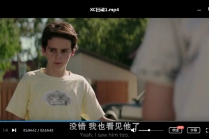 电影《小丑回魂(It)》2部超清合集百度云网盘下载[MP4/8.27GB]