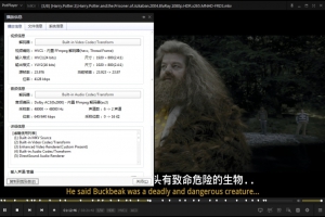 《哈利波特/Harry Potter》系列8部合集蓝光1080P国英双语中字百度云网盘下载[MKV/42.80GB]