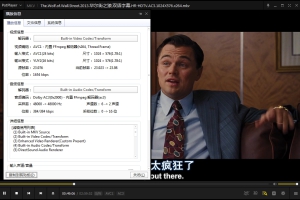小李子电影《华尔街之狼》高清MKV未删减英语中字阿里网盘下载