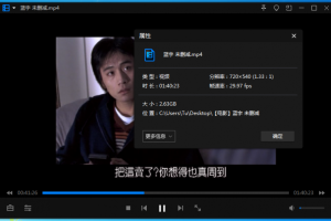 胡军刘烨电影《蓝宇》超清未删减版百度云网盘下载[MP4/2.63GB]