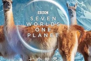 高清纪录片《七个世界 一个星球》百度云网盘下载[中英双字幕][国语英语双版本][MP4/1080P/16.67GB]