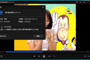 《惊天动地奖门人(USA版)》粤语[全25期]百度云网盘下载[TS/8.98GB]