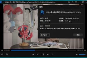 《优秀记/纪录电影13部》高清1080P百度云网盘资源下载[TS/38.58GB]