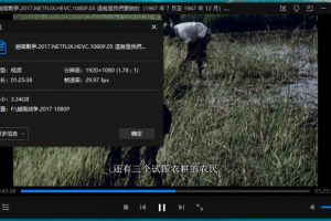 《The Vietnam War/越南战争》纪录片全10集高清1080P百度云网盘下载[MKV/40.41GB]