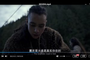 美剧《看见(SEE)》第一季全8集高清英语中字百度云网盘下载[MP4/12.44GB]