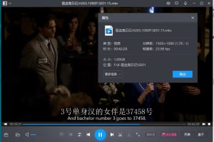 美剧《吸血鬼日记》第1-8季全171集高清1080P百度云网盘资源下载中英双字无水印[MKV/203.61GB]