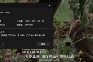 美剧《行尸走肉》全11季高清1080P中英双字百度阿里云网盘下载[MP4/314.69GB]