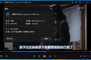《相棒/Aibou》[第1-18季+剧场版+里相棒]日语中字百度云网盘下载[181.55GB]