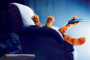 美国动画电影《加菲猫》2部(2004-2006)合集高清英语中字百度云网盘下载